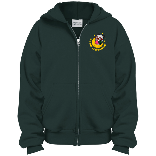It's Okay To Be Different - PC90YZH Youth Full Zip Hoodie